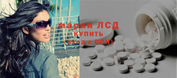 шишки Покачи