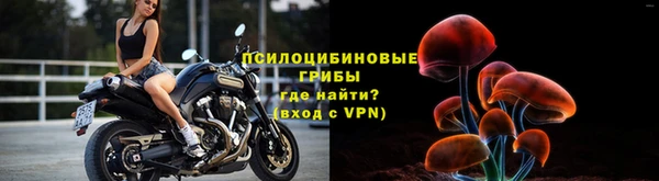 шишки Покачи
