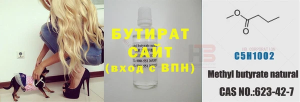 шишки Покачи