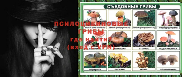 шишки Покачи
