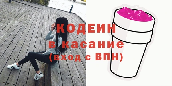 шишки Покачи