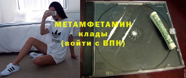 шишки Покачи