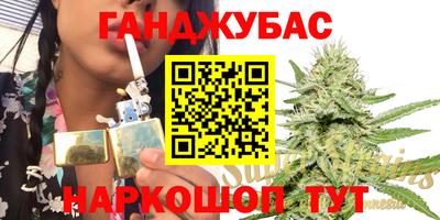 гидропоника Партизанск