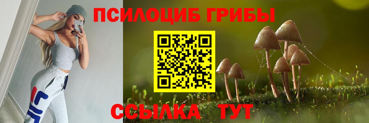 Ялта  наркотики  Вход с VPN  Псилоцибиновые грибы Cubensis 